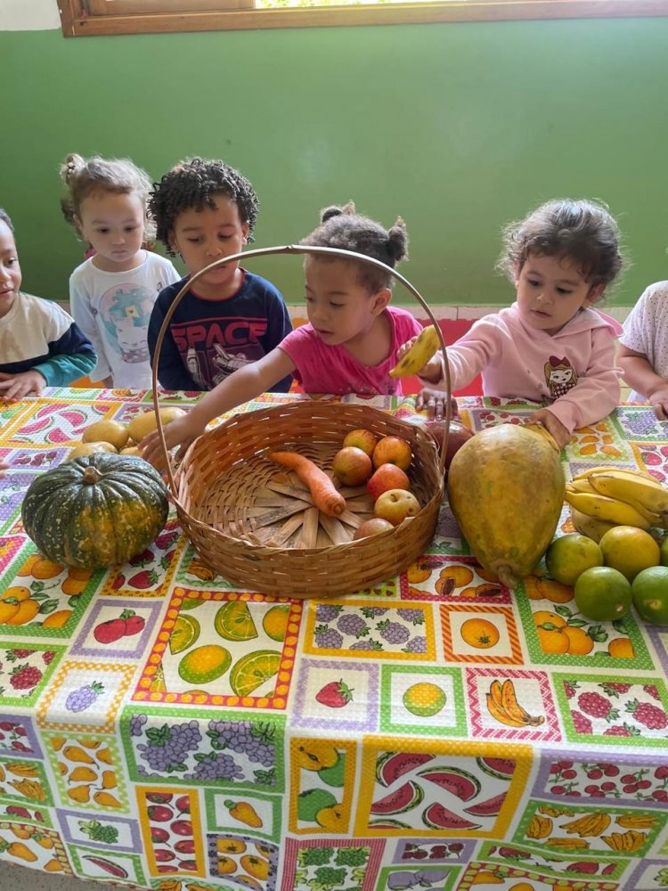 Projeto Saúde e Nutrição