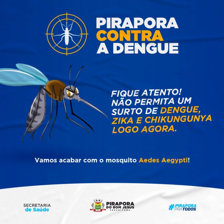 Pirapora contra a DENGUE