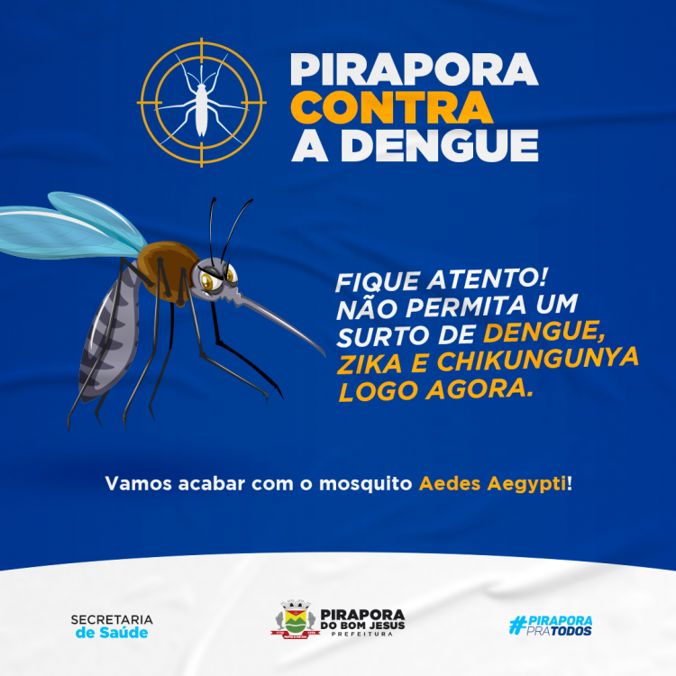 Pirapora contra a Dengue